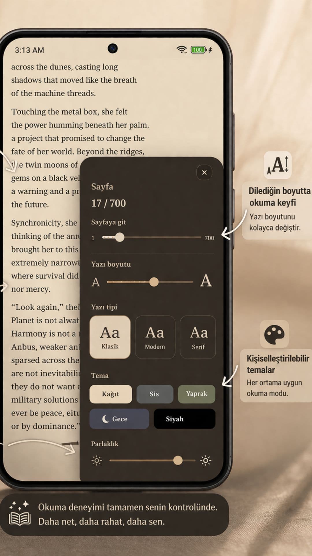 Customize theme, font, text size, brightness, and page controls in Okuzeka